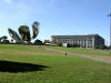 Floralis Generica and University